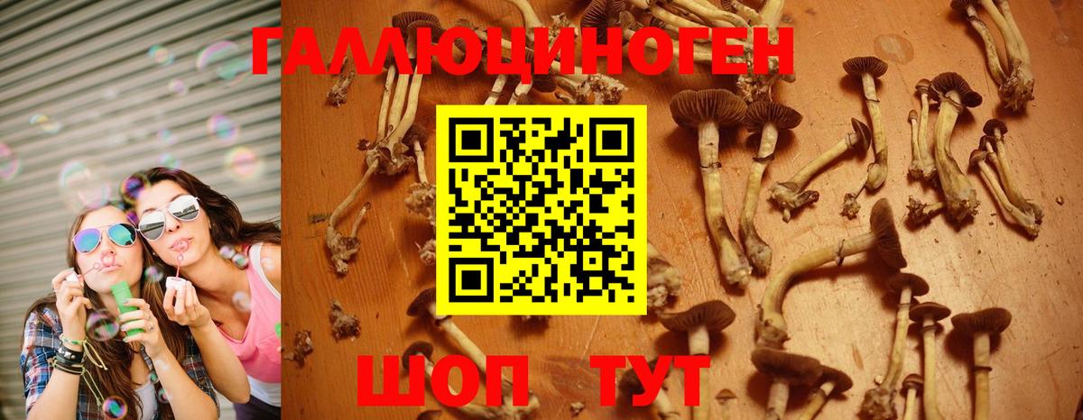 Галлюциногенные грибы GOLDEN TEACHER Арзамас