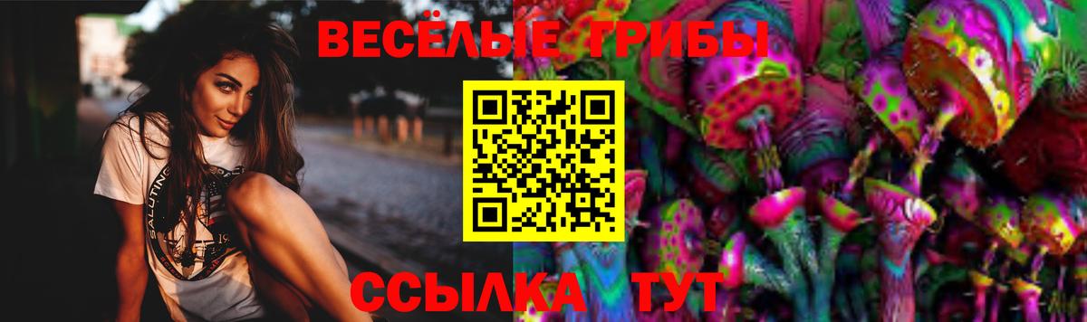 Галлюциногенные грибы MAGIC MUSHROOMS  Псилоцибиновые грибы Cubensis  Арзамас  Вход с VPN 